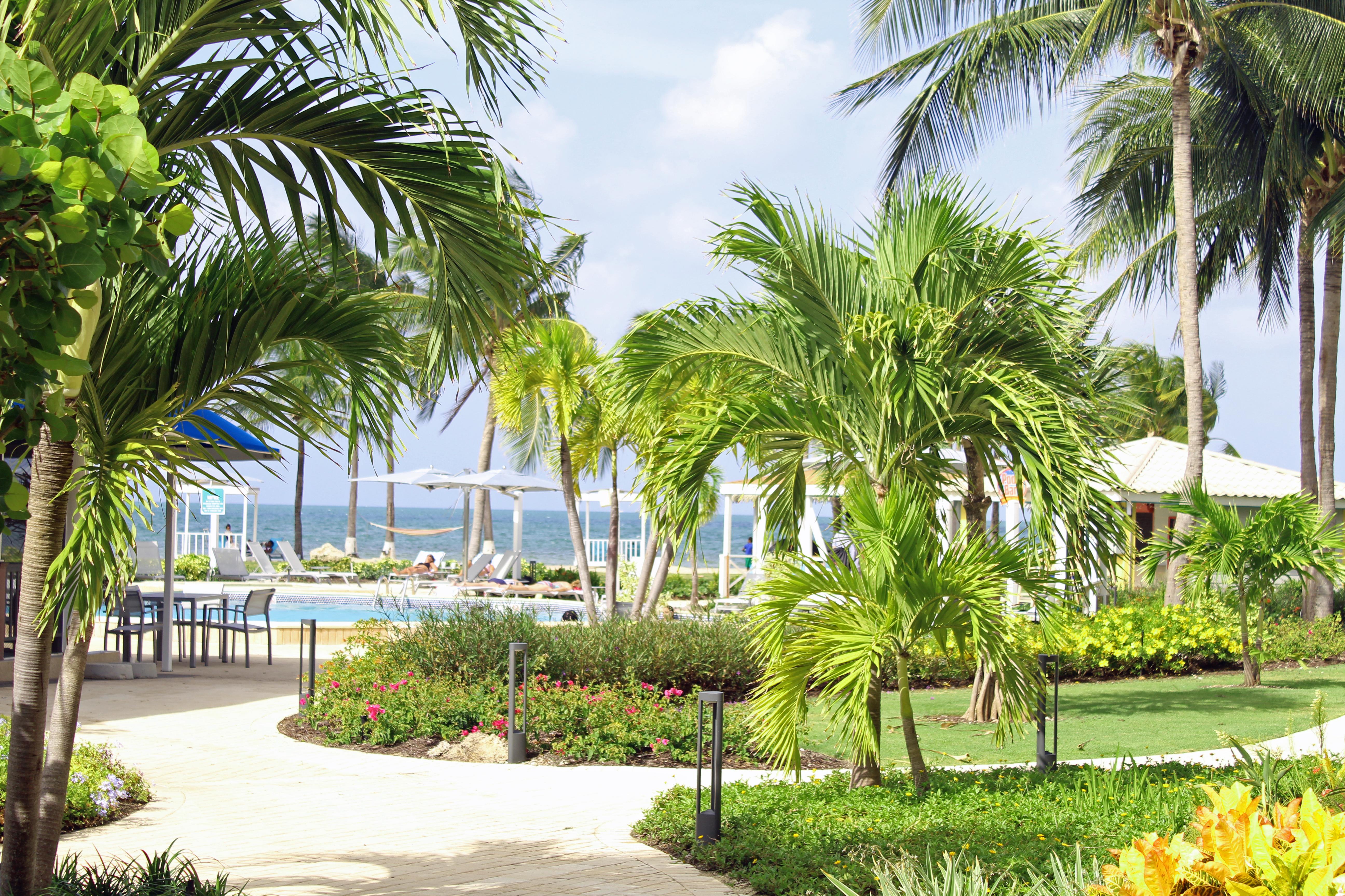 The Grand Caymanian Resort George Town Exterior photo